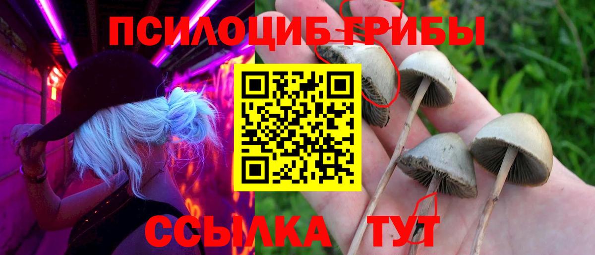 Галлюциногенные грибы мухоморы  где найти наркотики  Псилоцибиновые грибы прущие грибы  Домодедово  Вход с VPN 